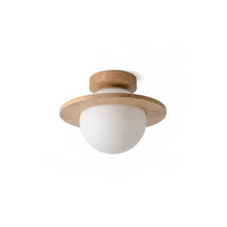 Matte Shell Ceiling Light – Modern LED Ceiling Lamp | Energy Efficient Lighting Fixture