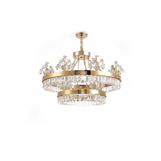 Interior Ceiling Light – Modern Ceiling Lamp With Warm Ambient Lighting