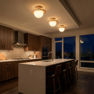 Matte Shell Ceiling Light – Modern LED Ceiling Lamp | Energy Efficient Lighting Fixture