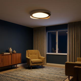 Modern Iron Ceiling Light – Integrated LED Surface Mount Fixture for Interior Lighting