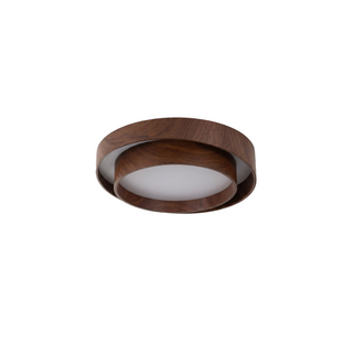Modern LED Ceiling Light – Metal Surface Mount Fixture for Living Room Lighting