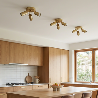 Golden LED Ceiling Light – Minimalist Aluminium Gold Finish Double Head Lamp
