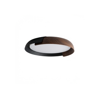 Adjustable Ceiling Light – Modern Dimmable LED Light With Remote Control