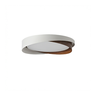 Modern Iron Ceiling Light – Integrated LED Surface Mount Fixture for Interior Lighting