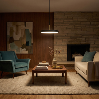 Disc-Shaped Pendant Lamp – Adjustable Hanging Lamp with Acrylic Lampshade Light