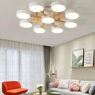 Acrylic Ceiling Light – Modern Multi-Head Fixture with Diffused Acrylic Heads