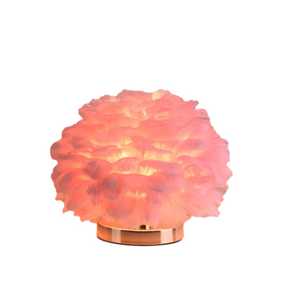 Plush feather table lamp close-up — rounded detail