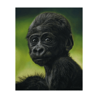 pastel monkey portrait hand-drawn realist wildlife print framed front view
