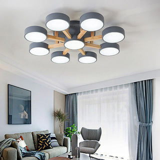 Acrylic Ceiling Light – Modern Multi-Head Fixture with Diffused Acrylic Heads