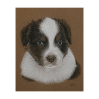 pastel dog portrait hand drawn pet artwork sennelier paper framed front view