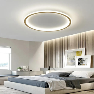 Modern Ceiling Light – LED Warm Light Fixture With Gold Finish For Living Room