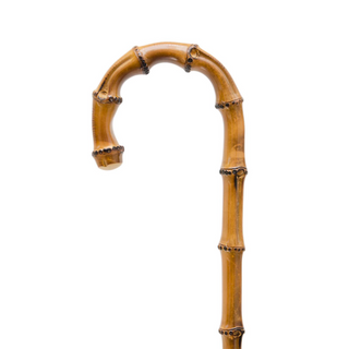 Women's flowered parasol natural Whangee handle top view
