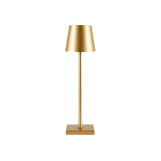 Waterproof gold lamp front — cordless adjustable brightness design