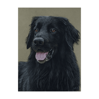 pastel hovawart painting realistic dog art sennelier card 12x16 inch front view