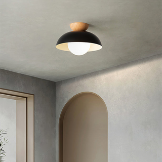 Minimalist eco-friendly metal ceiling lamp, modern semi-flush
