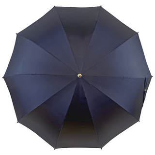 Luxury men's blue canopy 24K gold handle carbon fiber Italian umbrella open