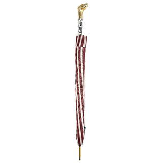 Automatic designer gold handle carbon fiber ribs luxury Italian umbrella close-up