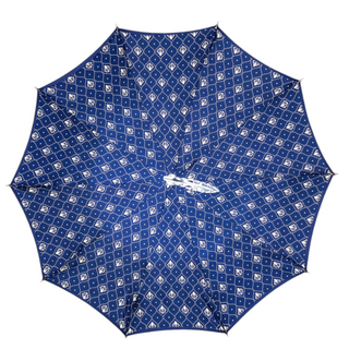 Men's silverplated elegant satin canopy automatic Italian umbrella close-up