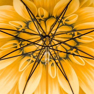 Gold dahlia designer Italian premium polyester acetate handle umbrella top