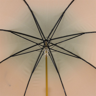 Golden lion handmade Italian automatic luxury gift box umbrella top
