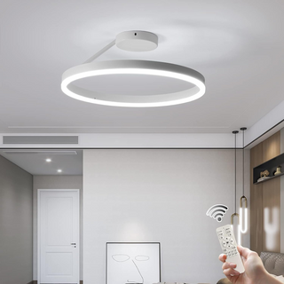 Nordic LED Ceiling Light – Modern Circle Lamp With Adjustable Brightness