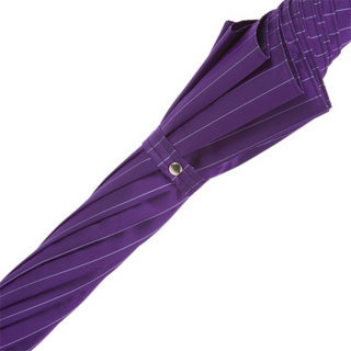 Purple luxury silver lion handle handmade Italian men's umbrella top view