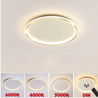 Modern Ceiling Light – LED Warm Light Fixture With Gold Finish For Living Room