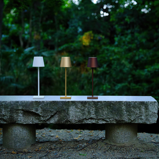 Adjustable brightness gold lamp — cordless waterproof design