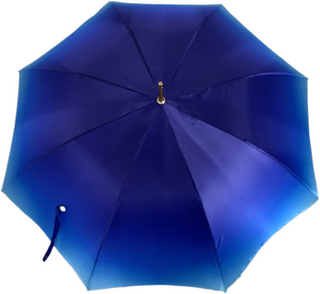 Elegant women's umbrella blue roses gold sapphire handle open