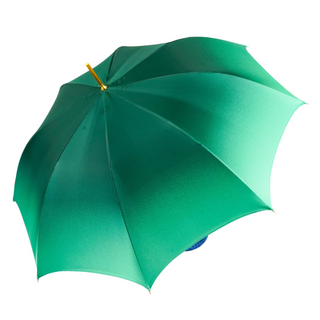 Peacock women's umbrella automatic open blue leather canopy