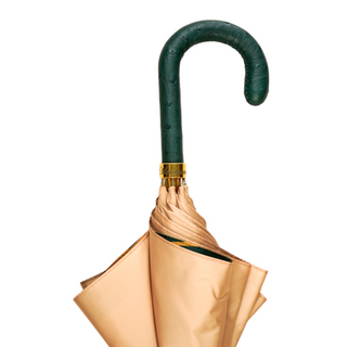 Italian ivory umbrella – ostrich handle detail view