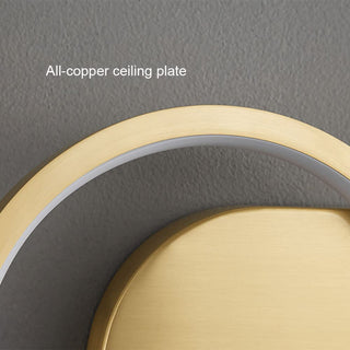 Mini LED metal adjustable wall sconce close-up — rotatable