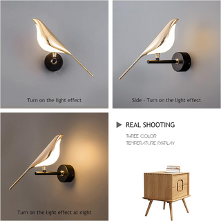 Soft glow LED bird modern acrylic wall sconce — lamp