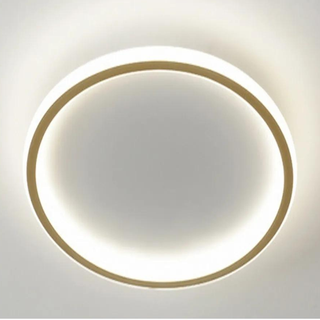 Modern Ceiling Light – LED Warm Light Fixture With Gold Finish For Living Room