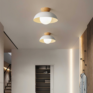 Minimalist eco-friendly ceiling fixture, modern metal semi-flush