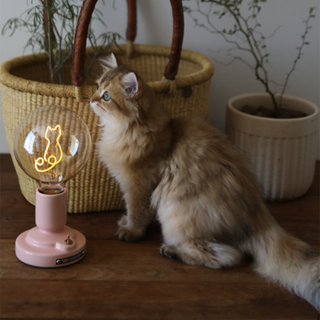 Pink white LED cat lamp — bedside warm glow