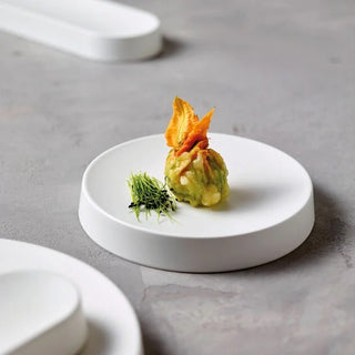 Japanese Ceramic Dinner Plate