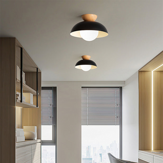 Eco-Friendly Metal Ceiling Light - Minimalist Modern Semi-Flush Mount Lamp