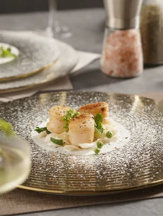 Japanese Ceramic Dinner Plate