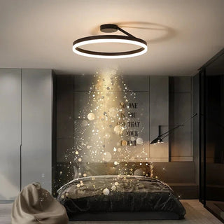 Modern circle LED ceiling lamp, Nordic adjustable brightness