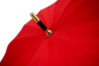Women's designer red luxury umbrella panther handle top