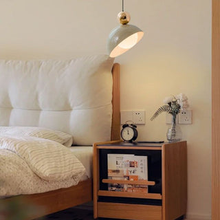 Eco pendant styled — modern LED metal glass hanging lamp