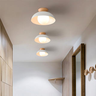 Eco-Friendly Metal Ceiling Light - Minimalist Modern Semi-Flush Mount Lamp