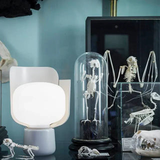 Post modern petal table lamp — LED metal glass design