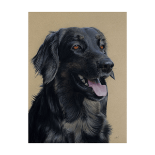 dog art portrait realistic pastel painting sennelier card framed front view