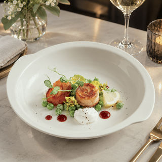 Irregular Shape Ceramic Dinner Plate