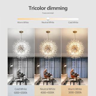 Modern Crystal Ceiling Light – Adjustable Brightness LED Fixture for Bedroom & Living Room