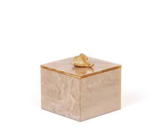 Bea square resin cotton pad holder gold shell bathroom front view