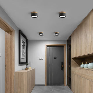 Mini cylinder ceiling lamp close-up, aluminum modern design