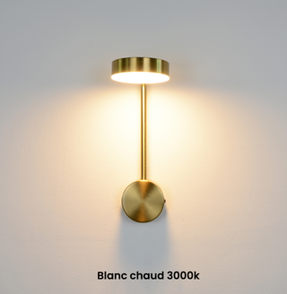 Rotating Wall Light – Directional LED Metal Sconce with Warm Ambient Lighting
